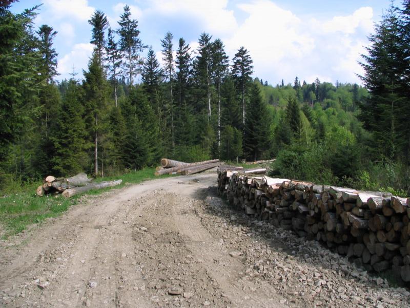 droga, bieszczady, szuter