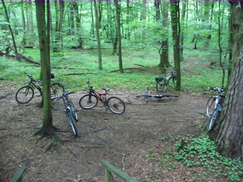 rowery, kampinos, zamczysko