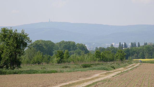 21163.jpg