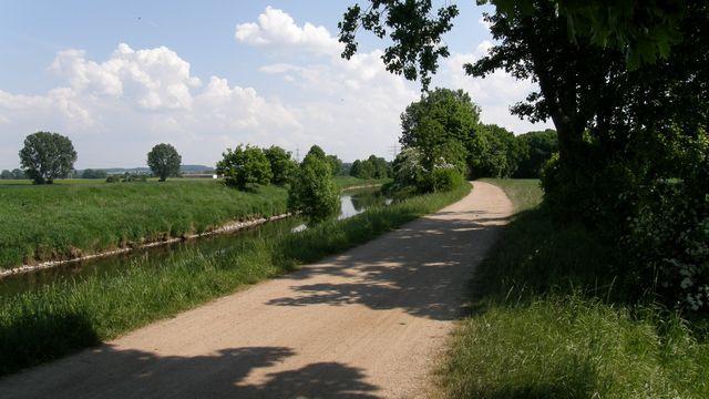21168.jpg