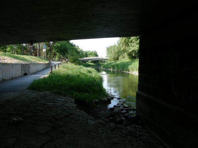 21171.jpg