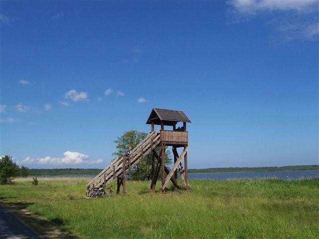 21179.jpg