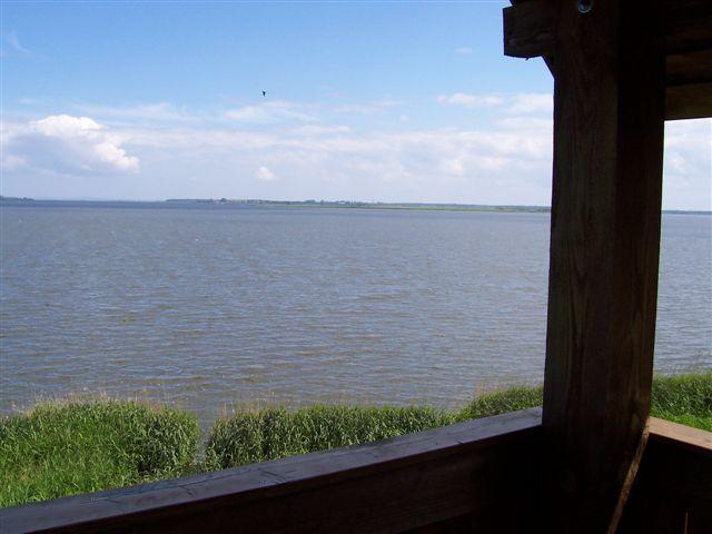 21183.jpg