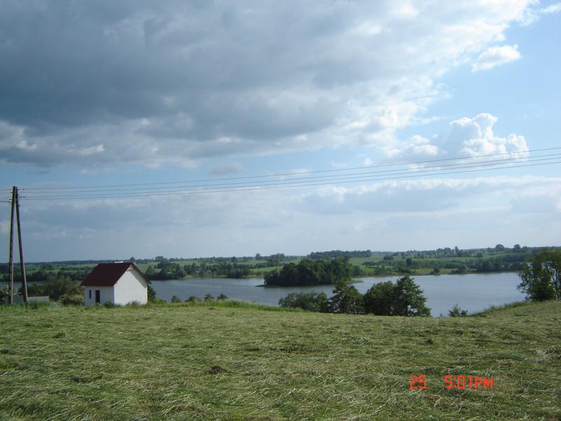 21245.jpg