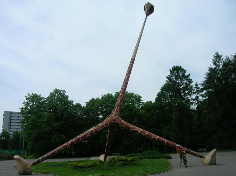21325.jpg