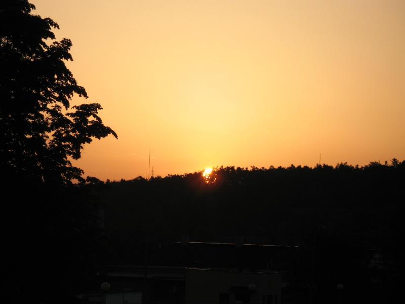 21424.jpg