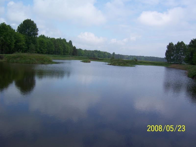 lasy murckowskie