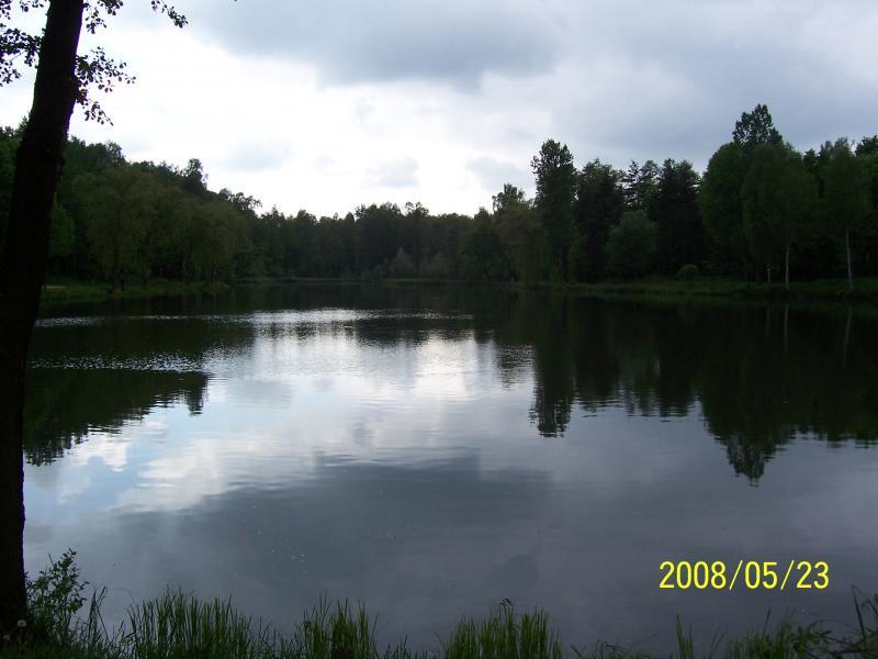 staw barbara