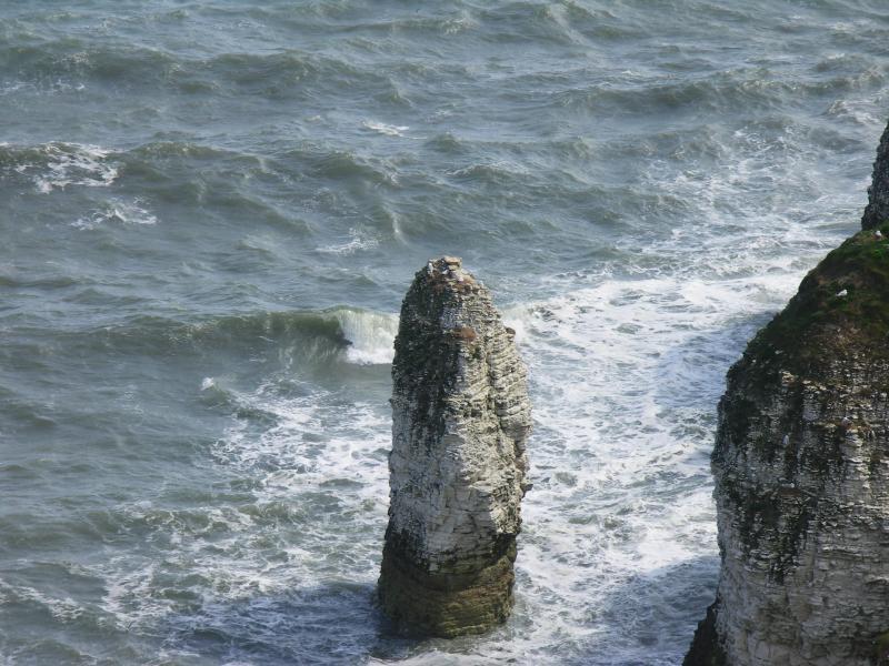 bridlington, east yorkshire, flamborough, flamborough head