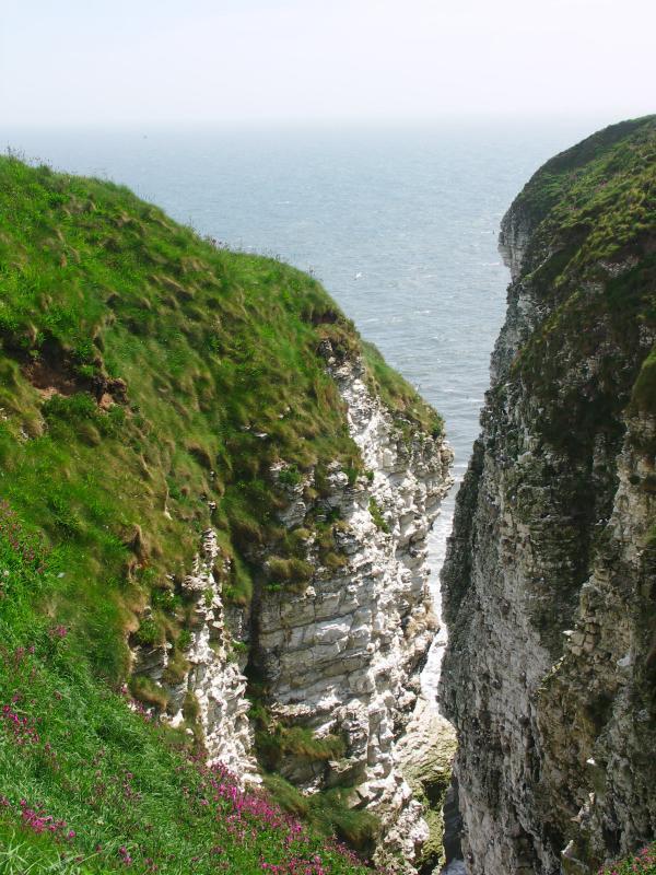 yorkshire, bridlington, flamborough, bempton cliffs