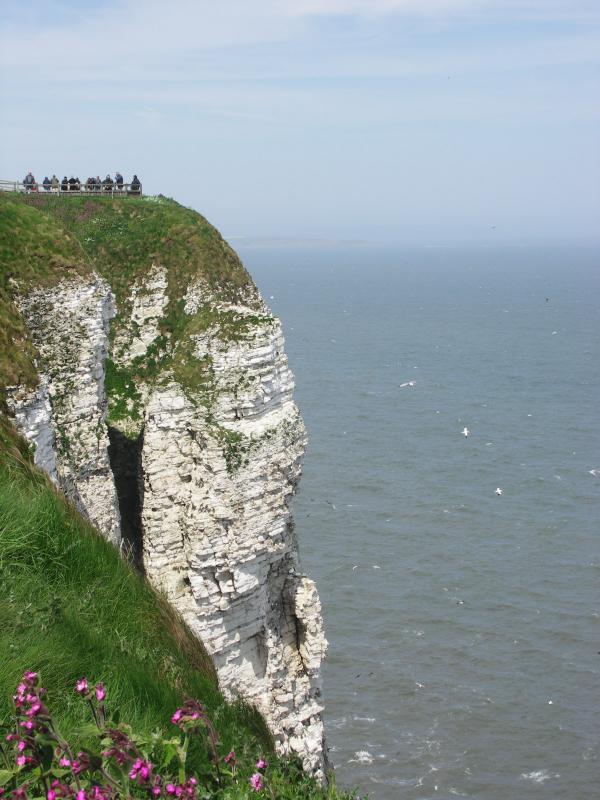 yorkshire, bridlington, flamborough, bempton cliffs