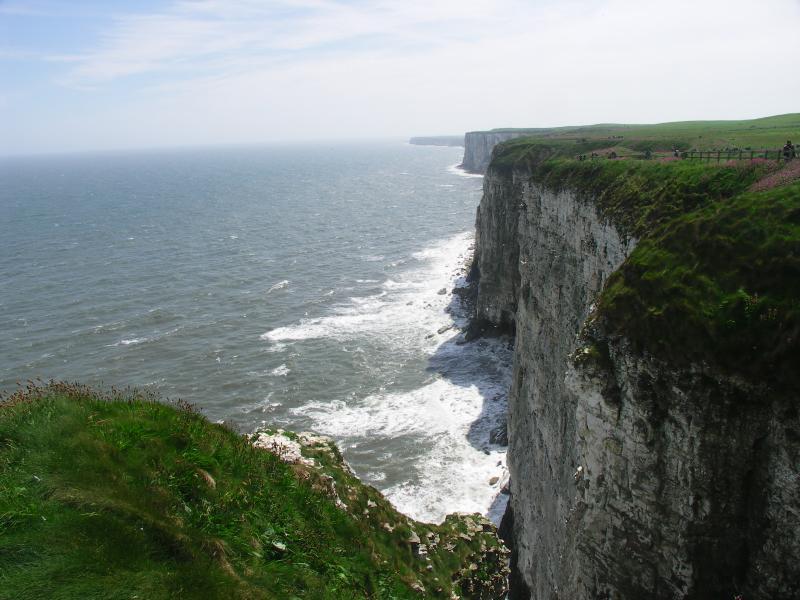 yorkshire, bridlington, flamborough, bempton cliffs