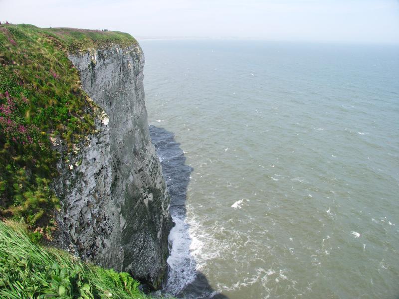 yorkshire, bridlington, flamborough, bempton cliffs