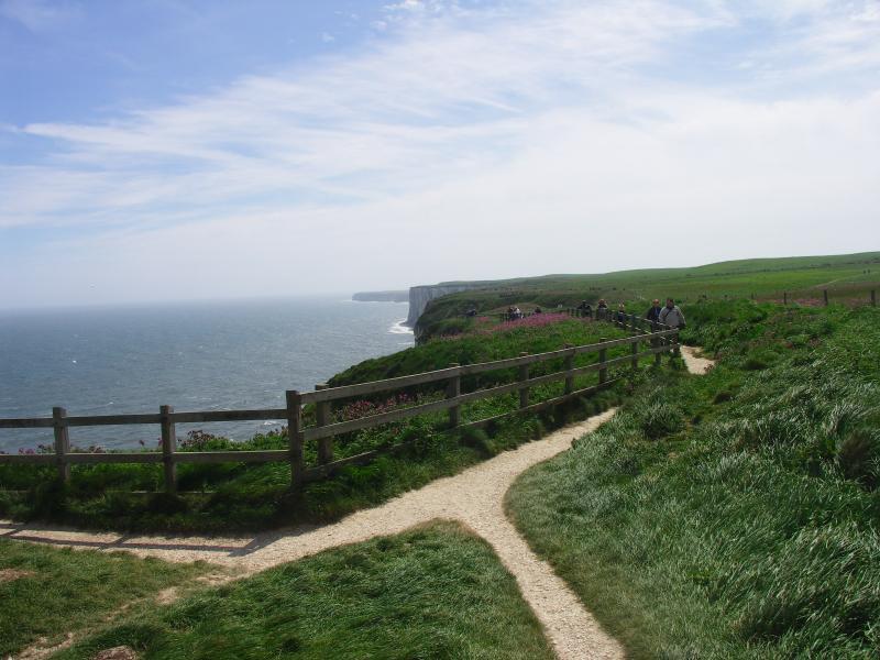 yorkshire, bridlington, flamborough, bempton cliffs