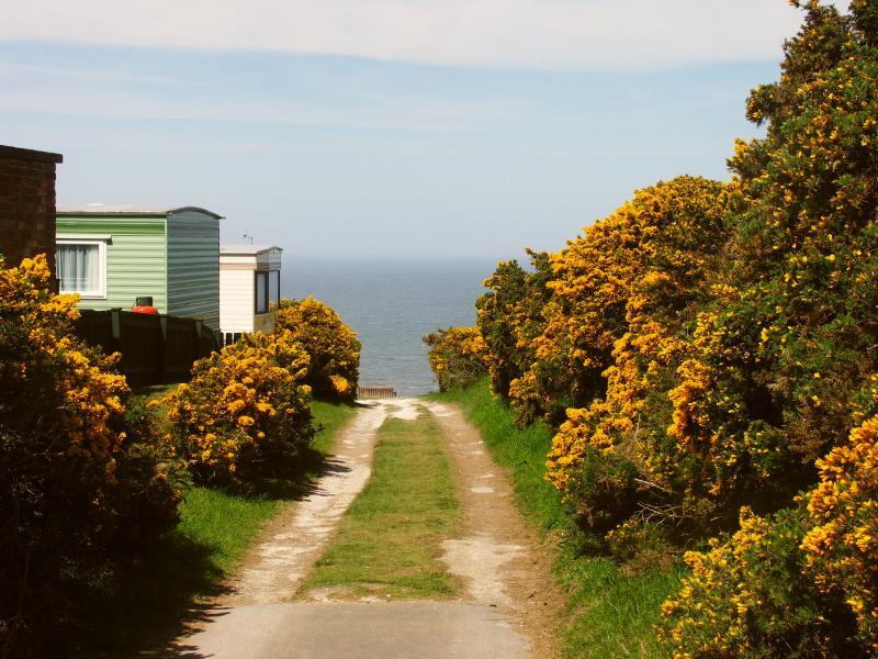camping, scarborough, east yorkshire coast