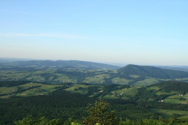 21691.jpg