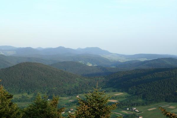 21692.jpg