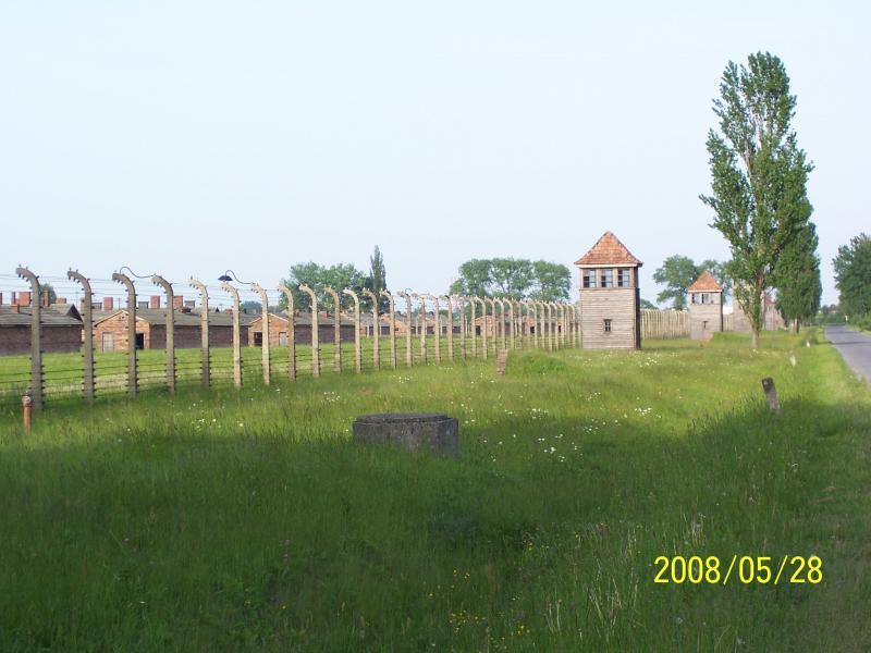 brzezinka