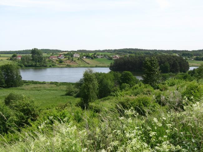 21749.jpg