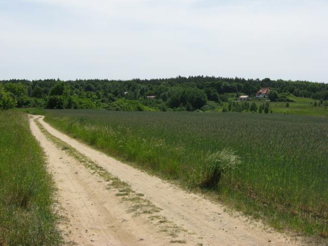 21757.jpg