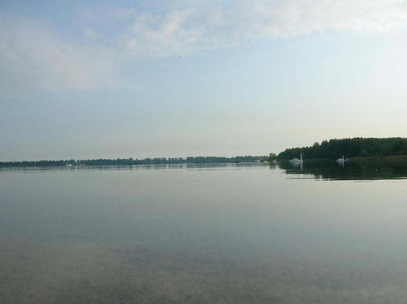 21839.jpg