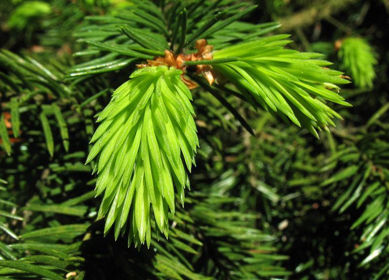 21878.jpg