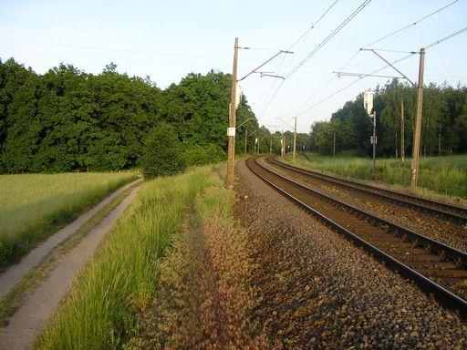 22037.jpg