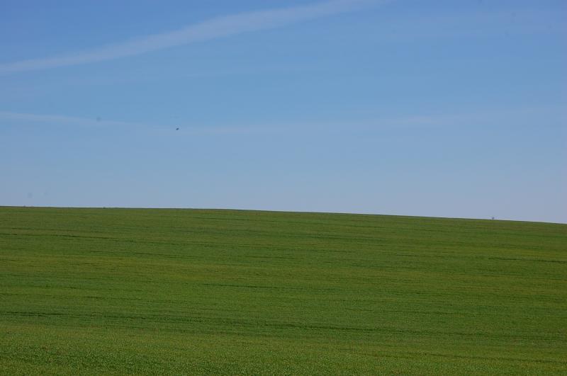 Jura krakowsko-częstochowska