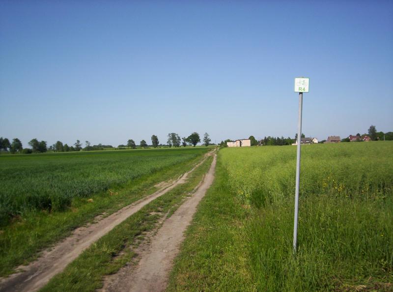 Zdjęcie z wycieczki rowerowej