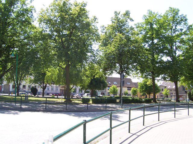 22417.jpg