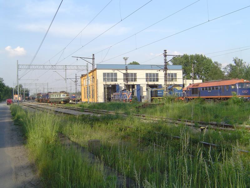 sosnowiec, sosnowiec bór
