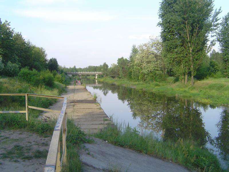 sosnowiec, bór, biała przemsza