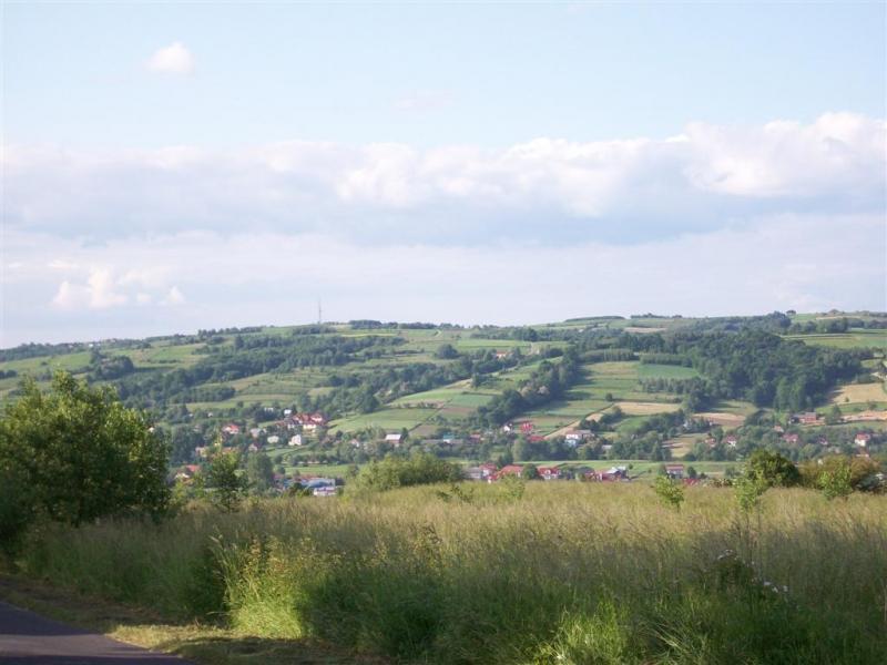 22687.jpg