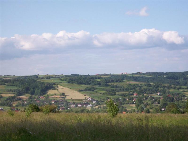 22688.jpg