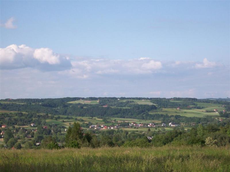 22689.jpg