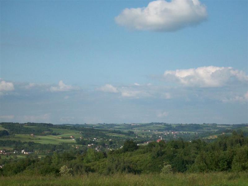 22690.jpg