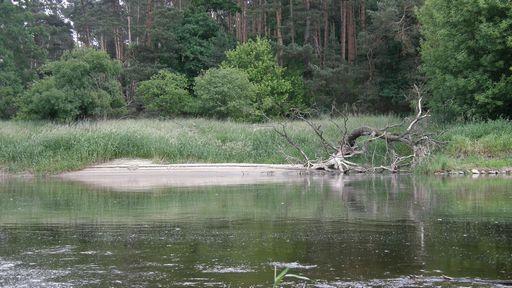 23093.jpg