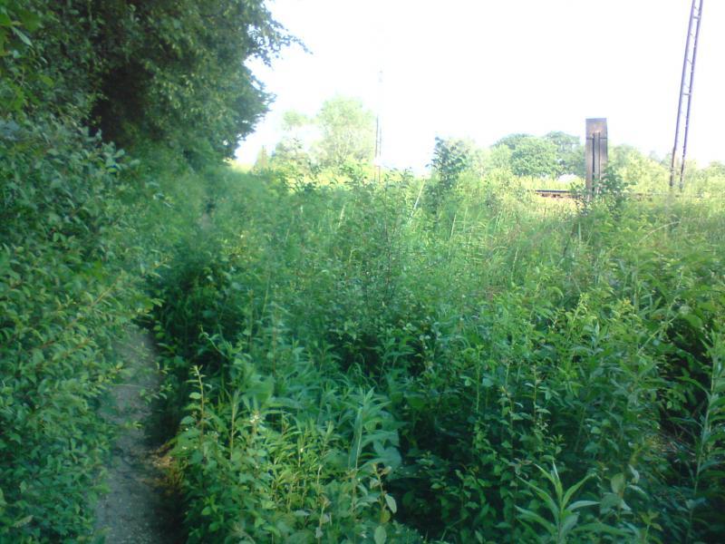 23181.jpg