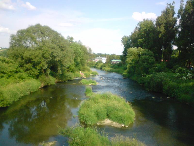 23184.jpg