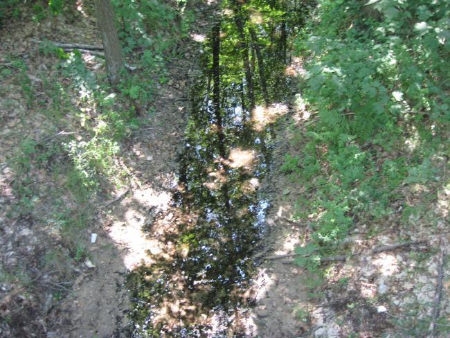 23191.jpg