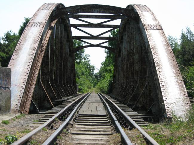 23251.jpg