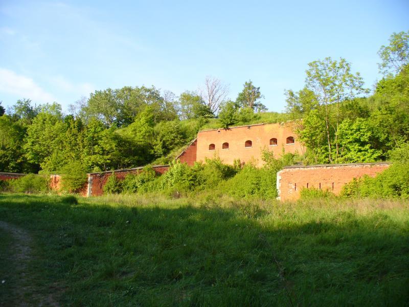 23359.jpg