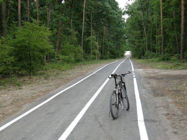 23575.jpg
