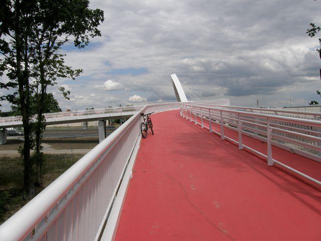 23576.jpg