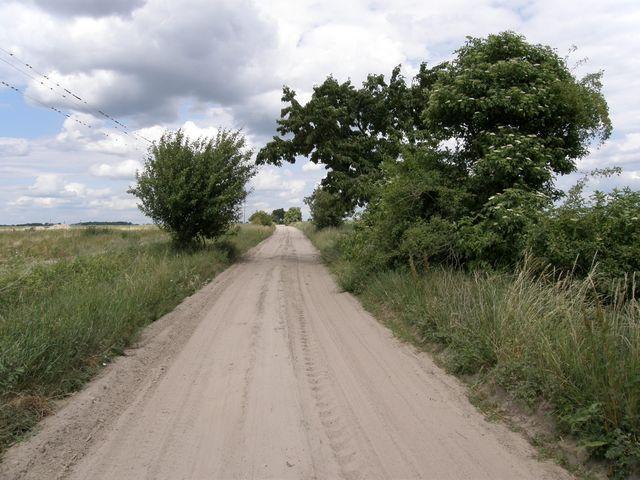 23578.jpg