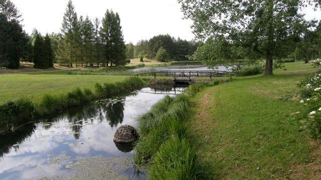 23585.jpg