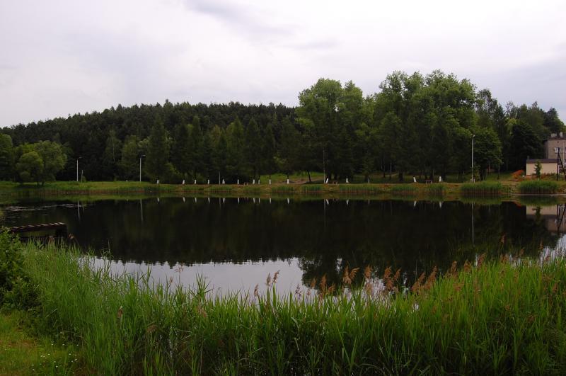 sławków, niwki