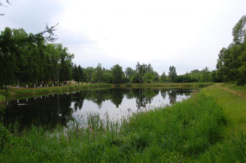sławków, niwki
