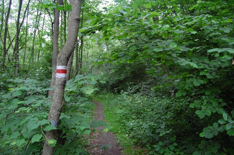 okardzionów