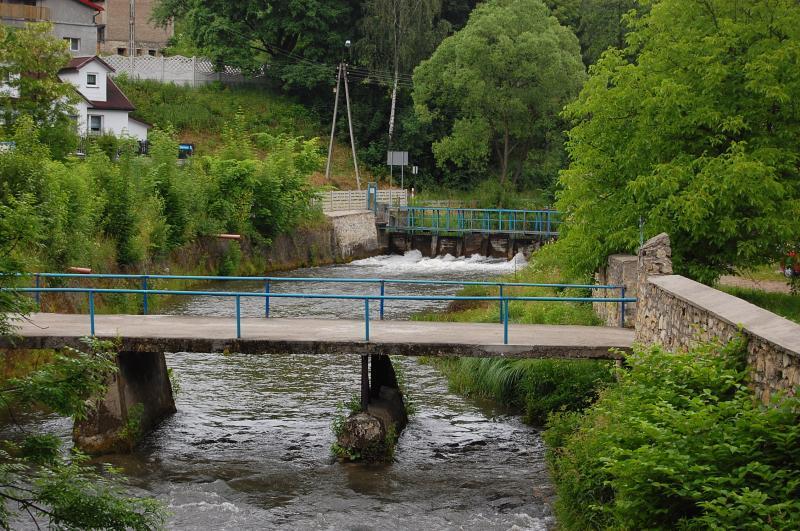 okardzionów